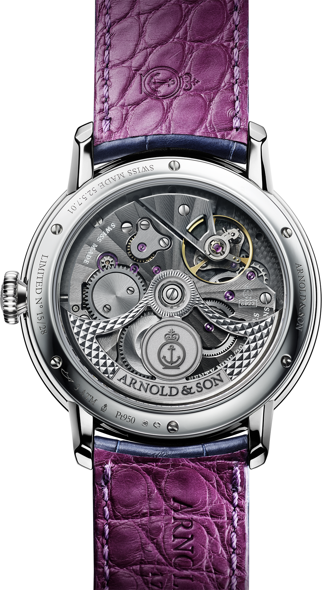 Caseback photo of Globetrotter Platinum